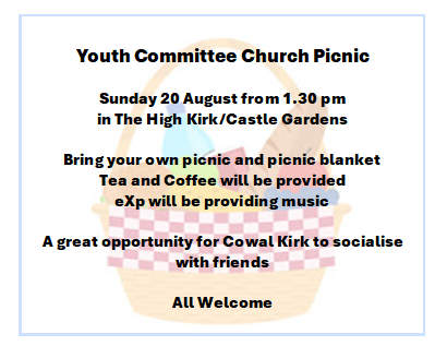 Youth Committee Church Picnic